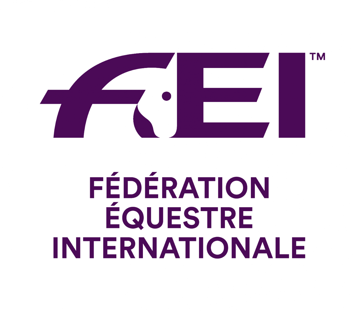 FEI_Logo_884bac4ae8fdccfbad4e2648550852e4.png